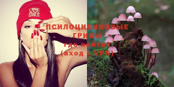 стафф Алексеевка