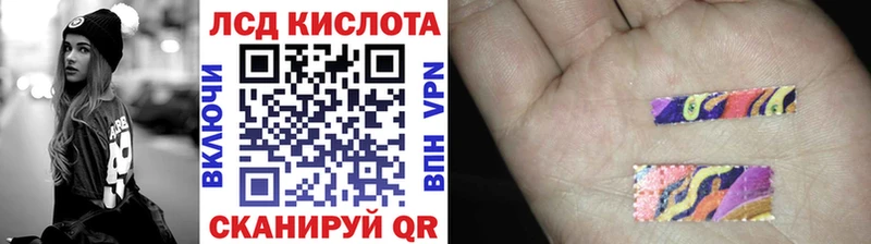 что такое   Камышин  Марки NBOMe 1500мкг 