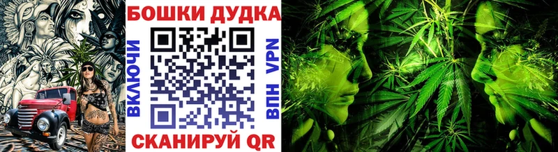 Марихуана сатива  блэк спрут ТОР  Камышин 